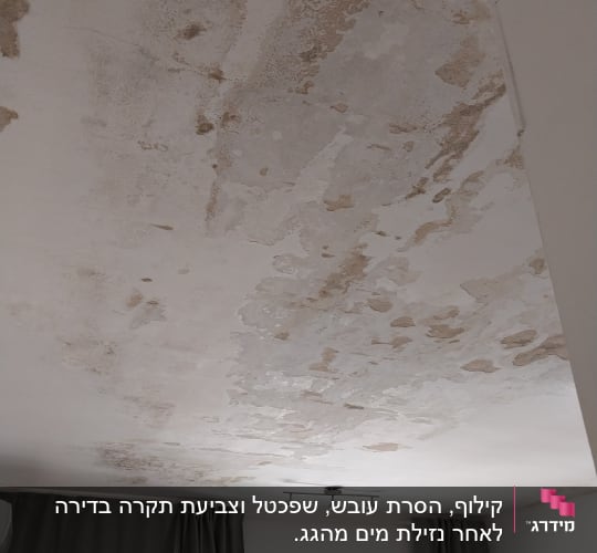 תקרה עם קילופי צבע ונזקי רטיבות